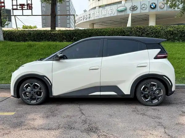 BYD Seagull 2024