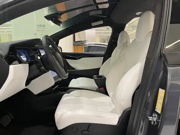 Tesla Model X 2019