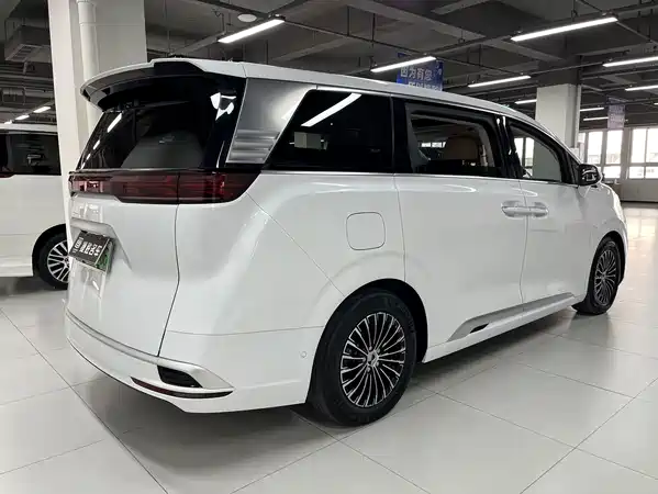 Denza D9 2023