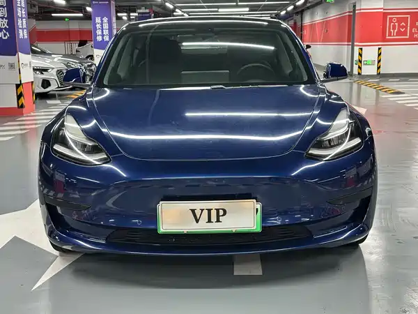 Tesla Model 3 2020