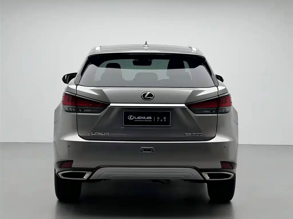 Lexus RX 2021 — фото 17