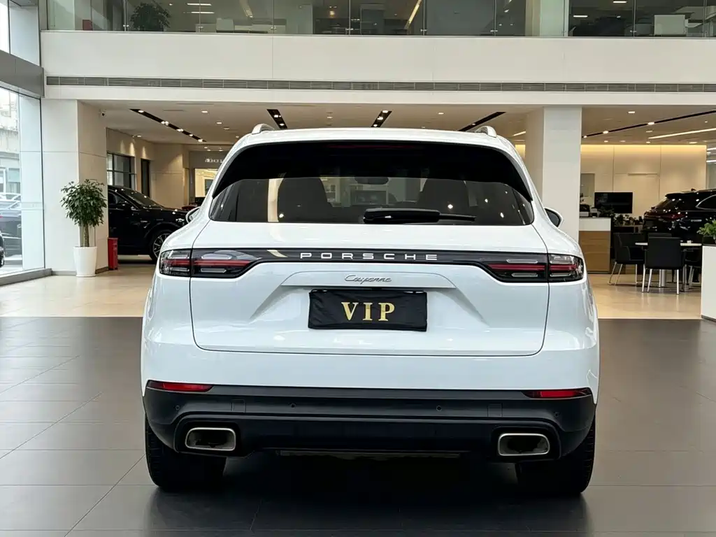 Porsche Cayenne 2019 — фото 7