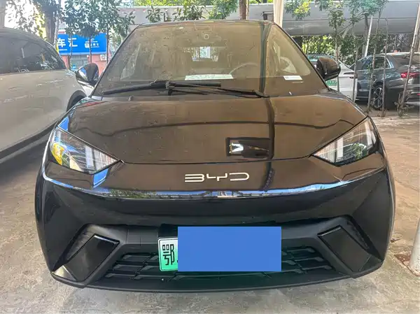BYD Seagull 2024