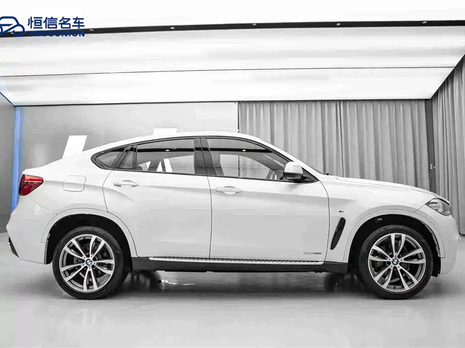 BMW X6 2019 — фото 4