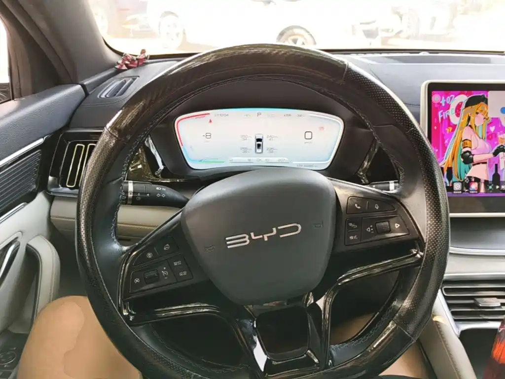 BYD Song PLUS New Energy 2024 — фото 11