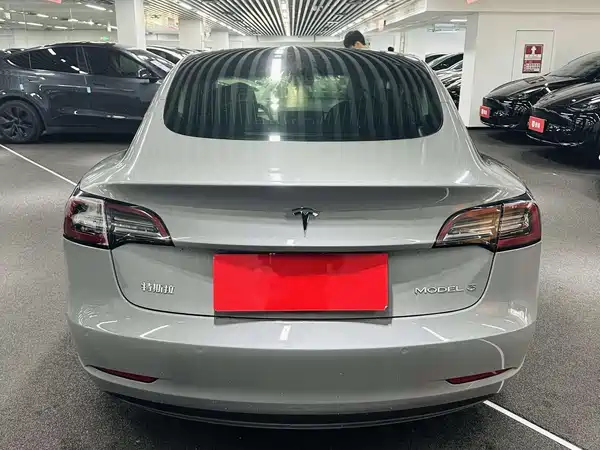 Tesla Model 3 2020