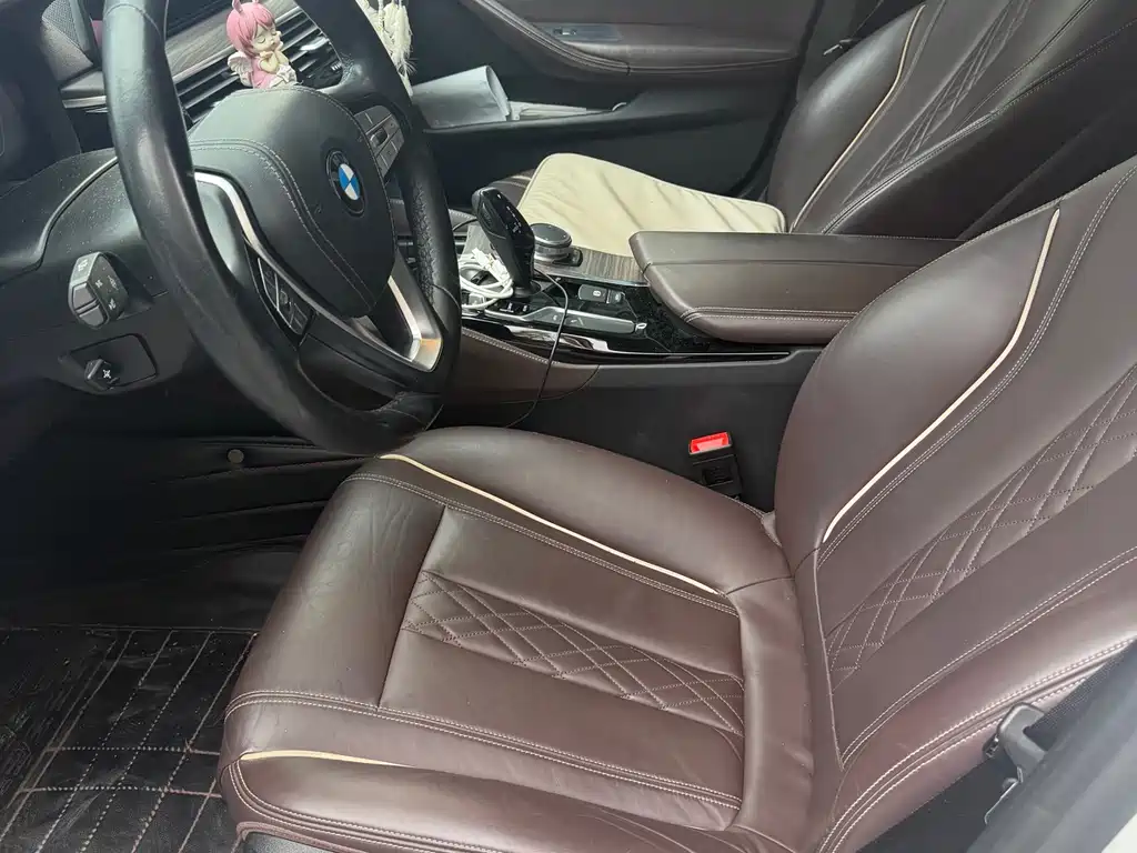 BMW 5 Series New Energy 2020