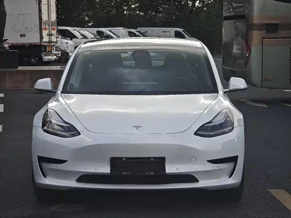 Tesla Model 3 2019