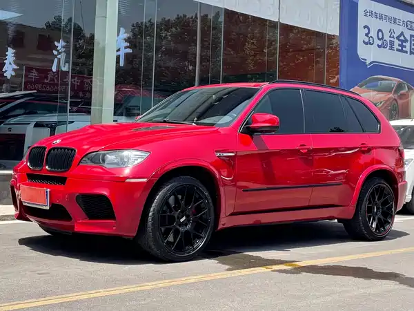 BMW X5 2010