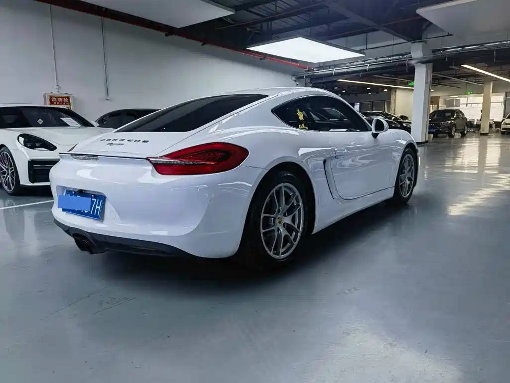 Porsche Cayman 2014 — фото 12
