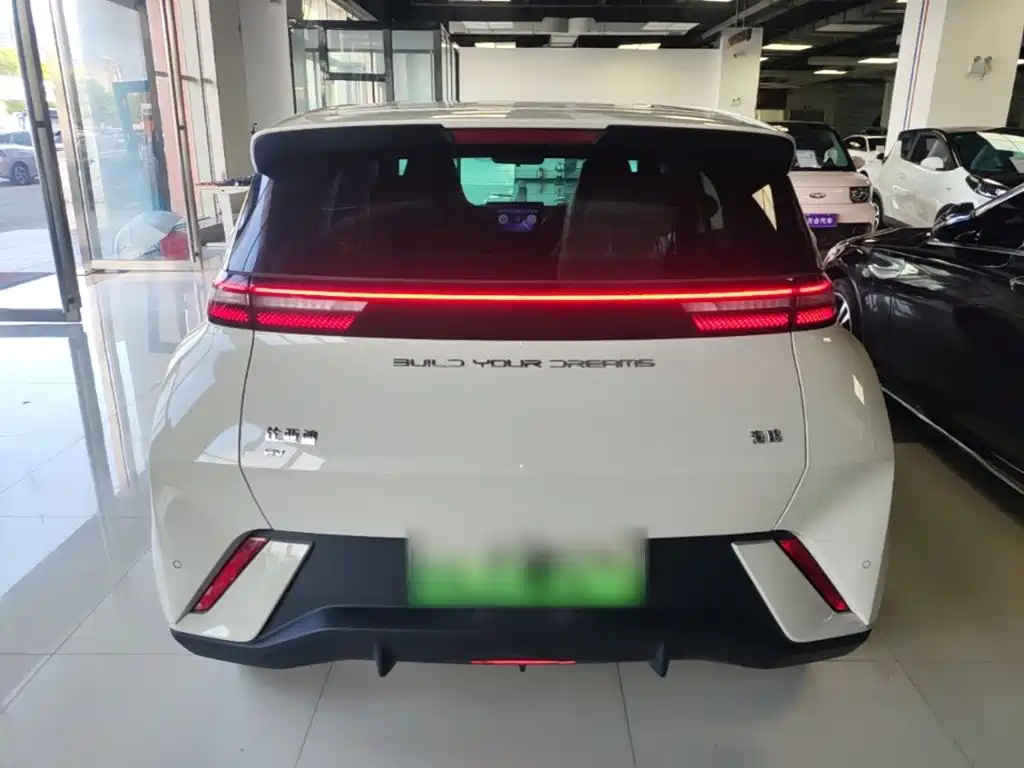 BYD Seagull 2024