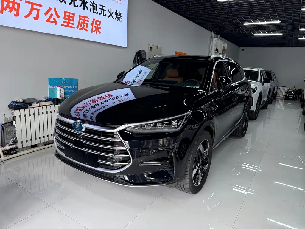 BYD Tang New Energy 2023 — фото 1