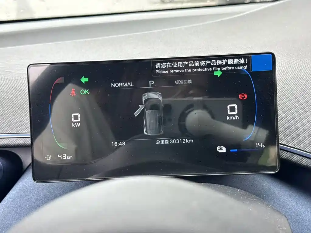 BYD Seagull 2024