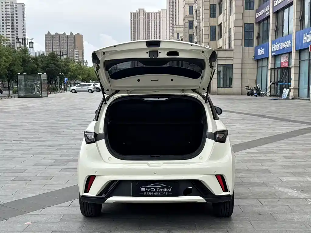 BYD Dolphin 2023 — фото 16