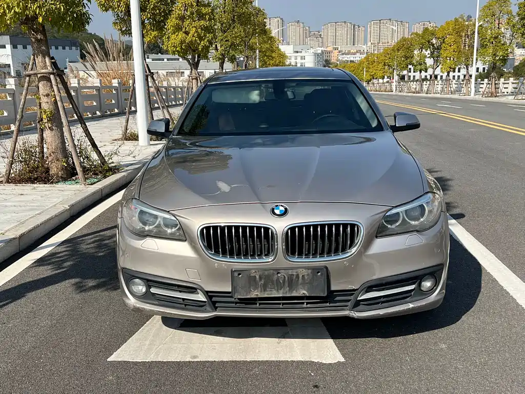 BMW 5 Series 2015 — фото 2