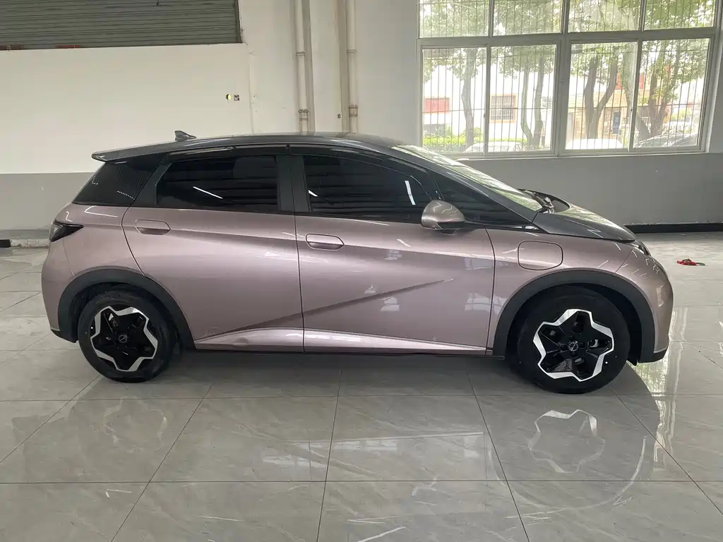 BYD Dolphin 2022