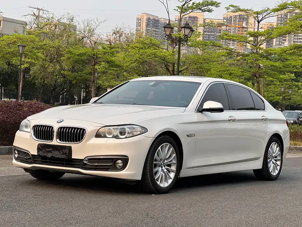 BMW 5 Series 2017 — фото 1