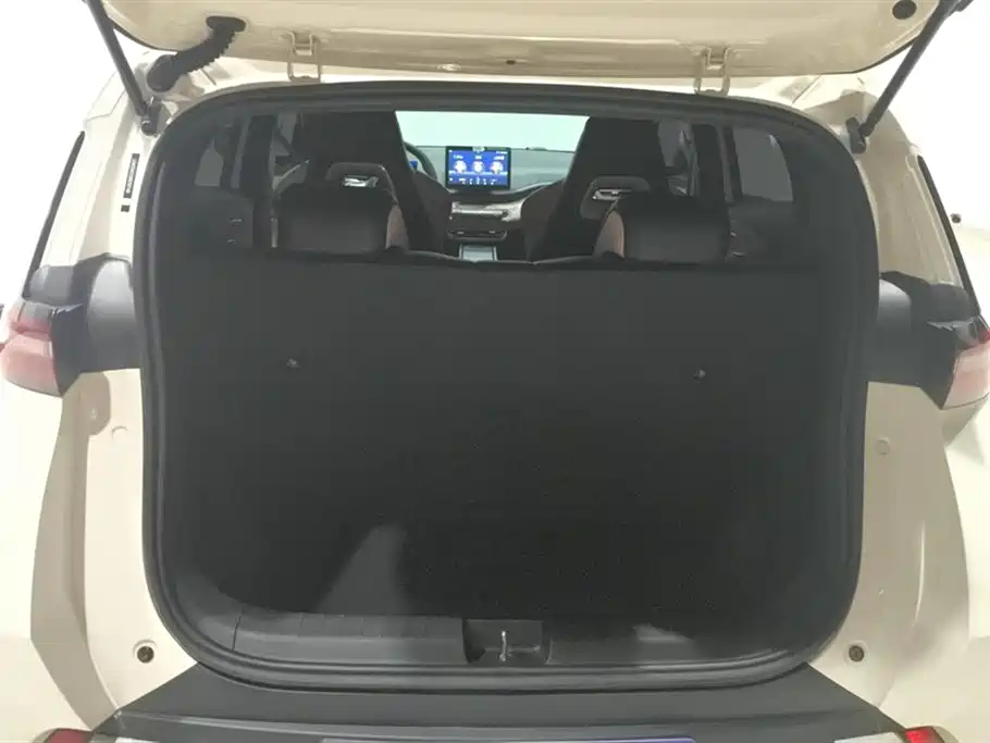 BYD Seagull 2024