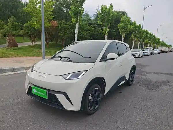 BYD Seagull 2024