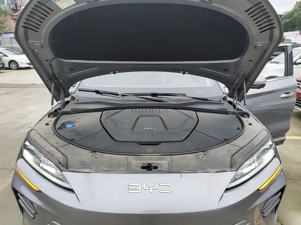 BYD PLUS New Energy 2024 — фото 20