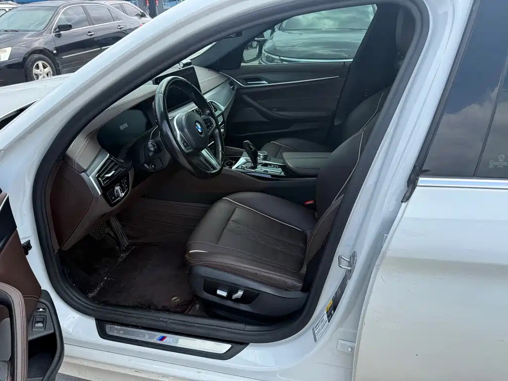 BMW 5 Series New Energy 2021
