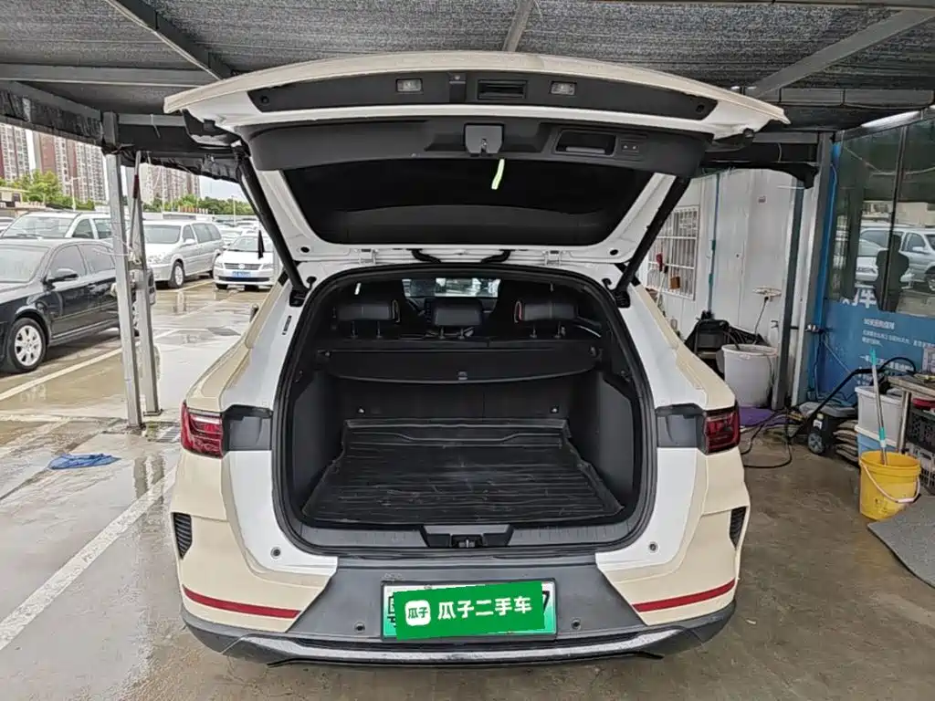 BYD Song PLUS New Energy 2023 — фото 19