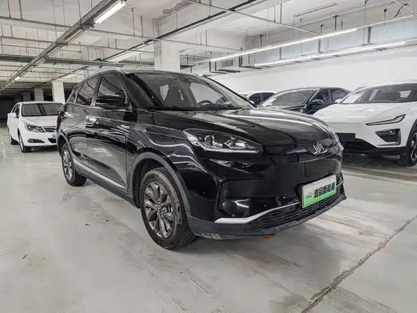 WM Motor EX5 2019