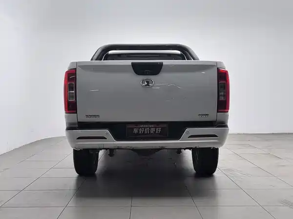Great Wall Poer 2020