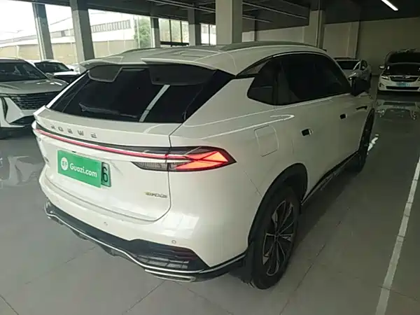 Roewe RX5 New Energy 2024