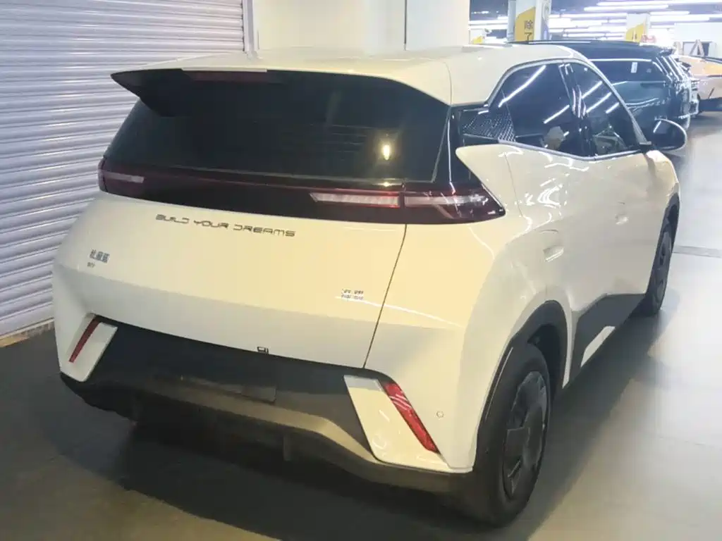 BYD Seagull 2024