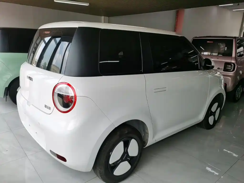 Qiyuan Lumin 2025