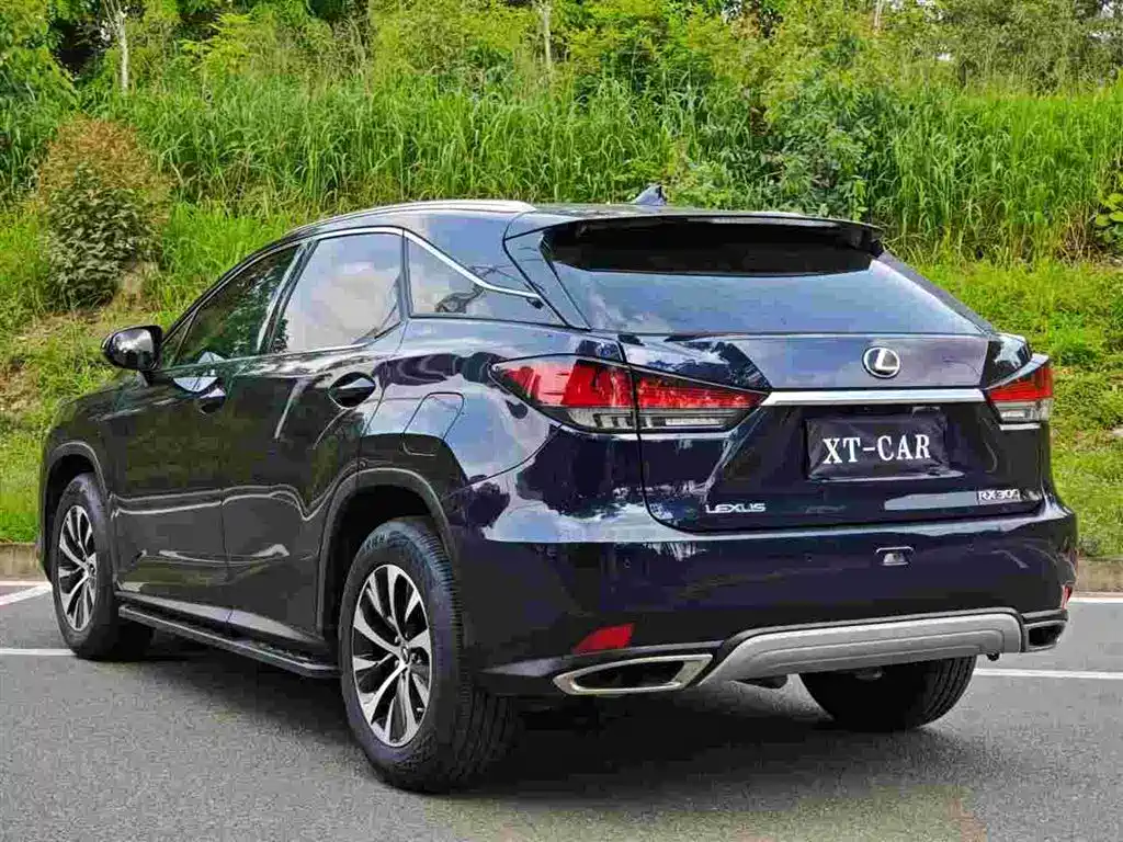 Lexus RX 2022 — фото 9