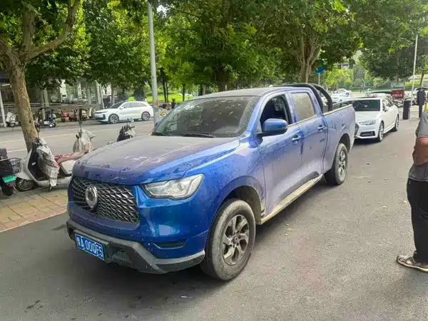 Great Wall Poer 2022