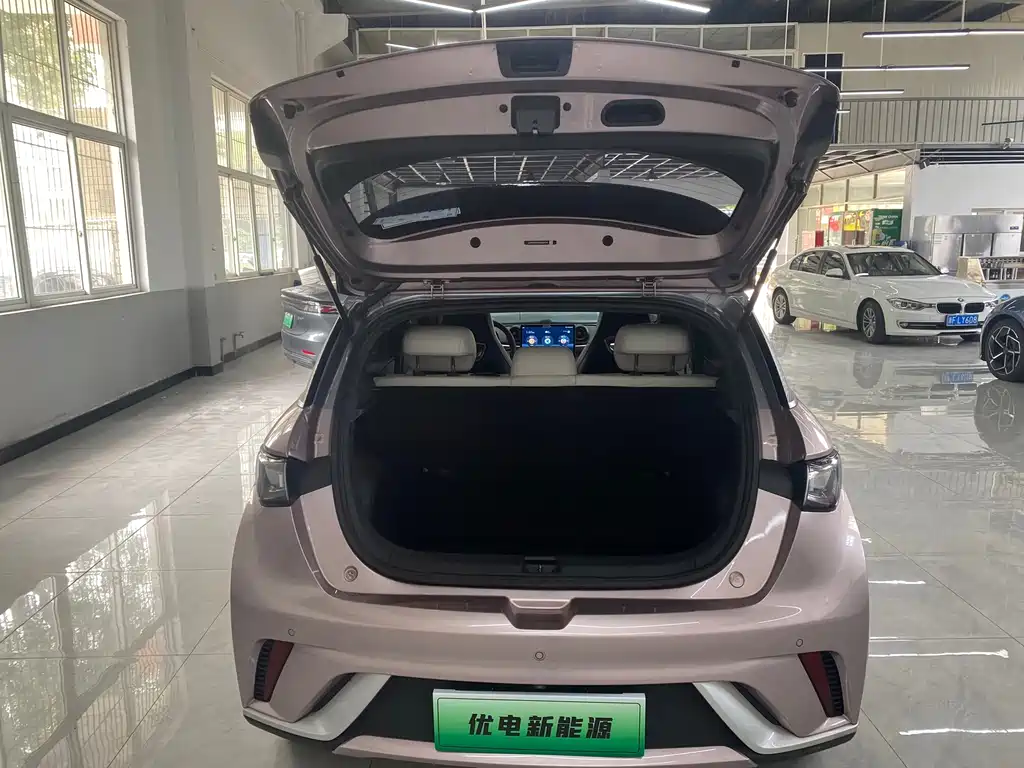 BYD Dolphin 2022