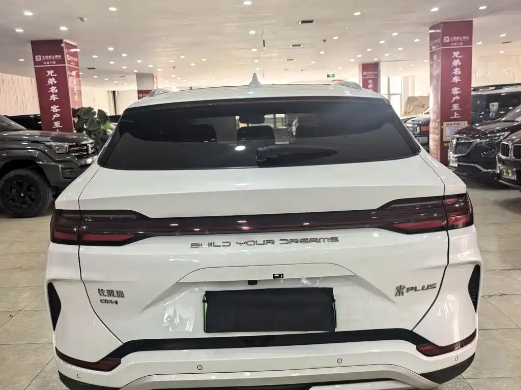 BYD PLUS New Energy 2024 — фото 4