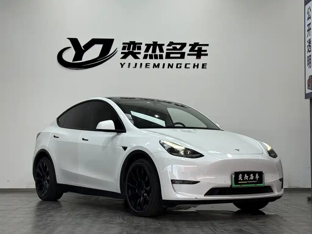 Tesla Model Y 2021 — фото 3