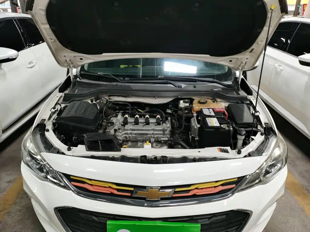 Chevrolet Cavalier 2018 — фото 16