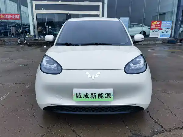 Wuling Bingo 2024