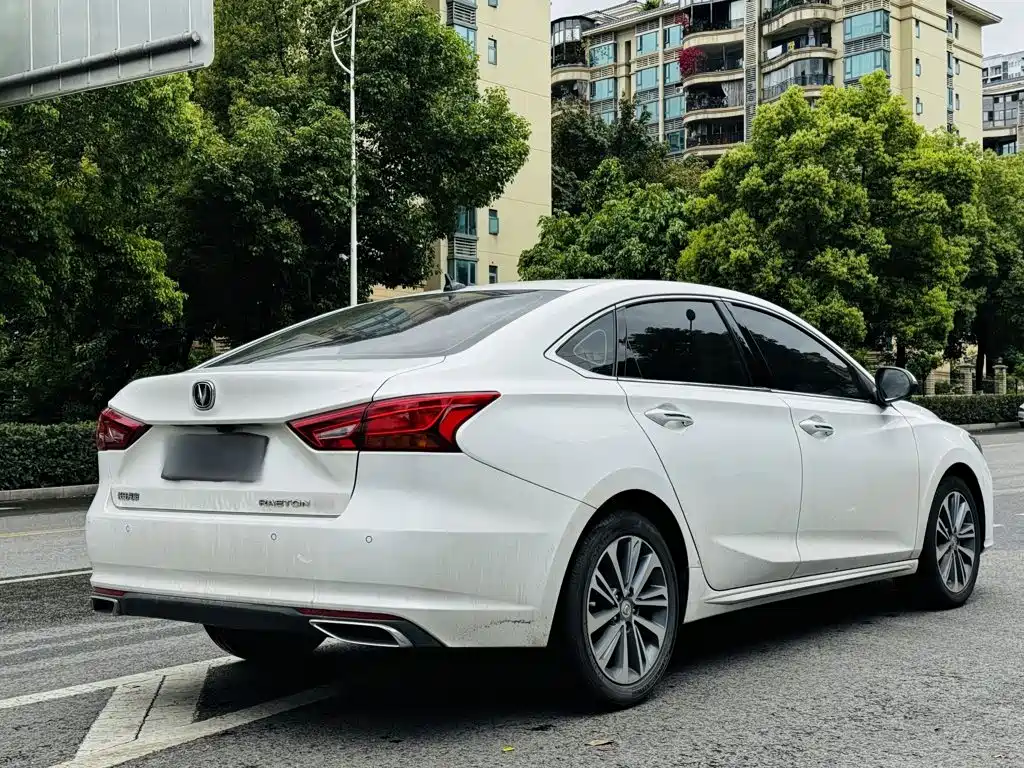 Changan Ruicheng CC 2019 — фото 12