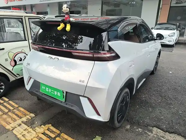 BYD Seagull 2024