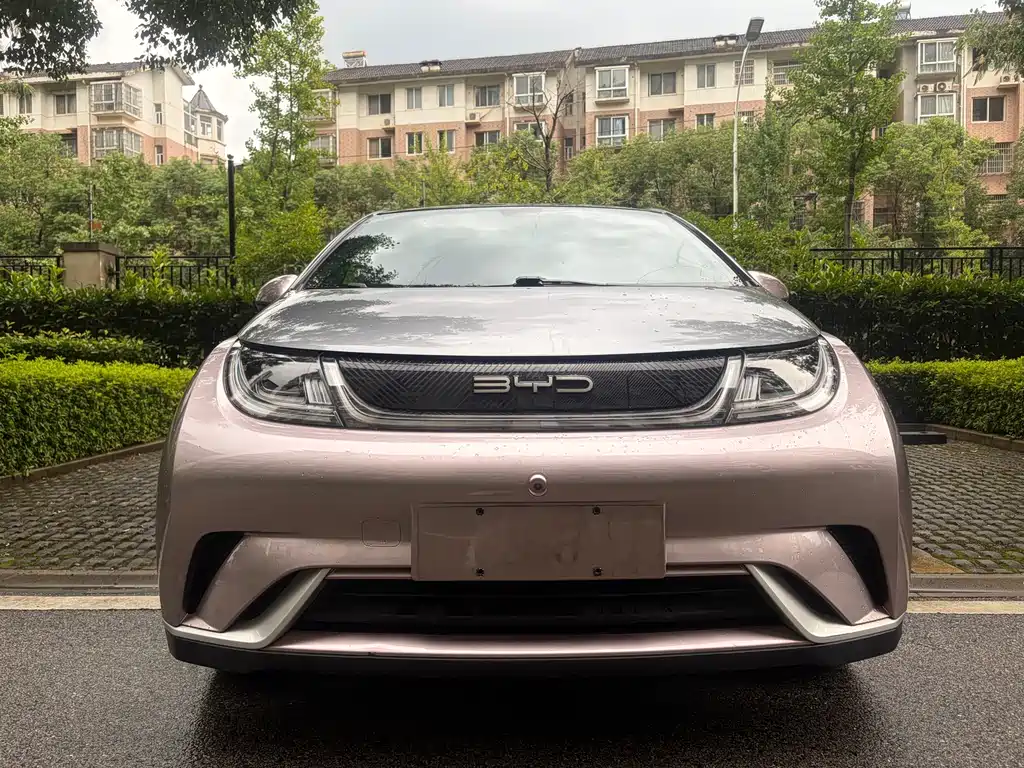 BYD Dolphin 2021
