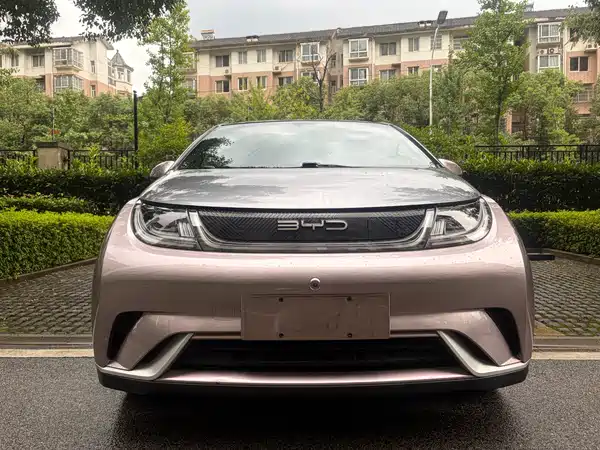 BYD Dolphin 2021