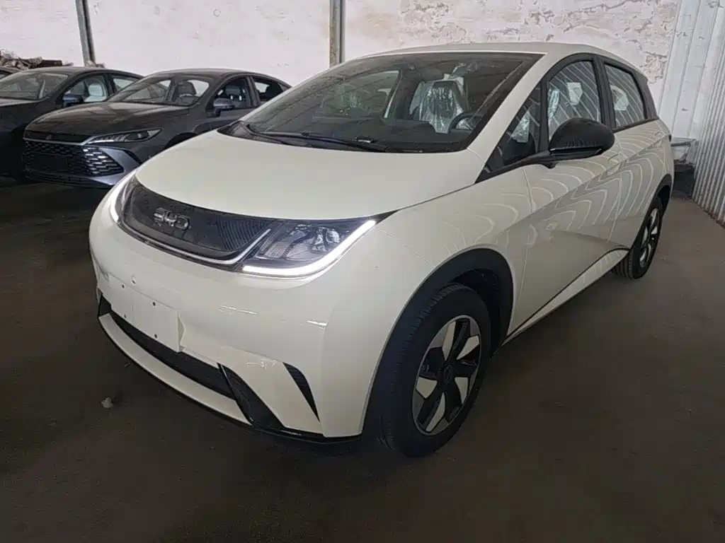 BYD Dolphin 2026
