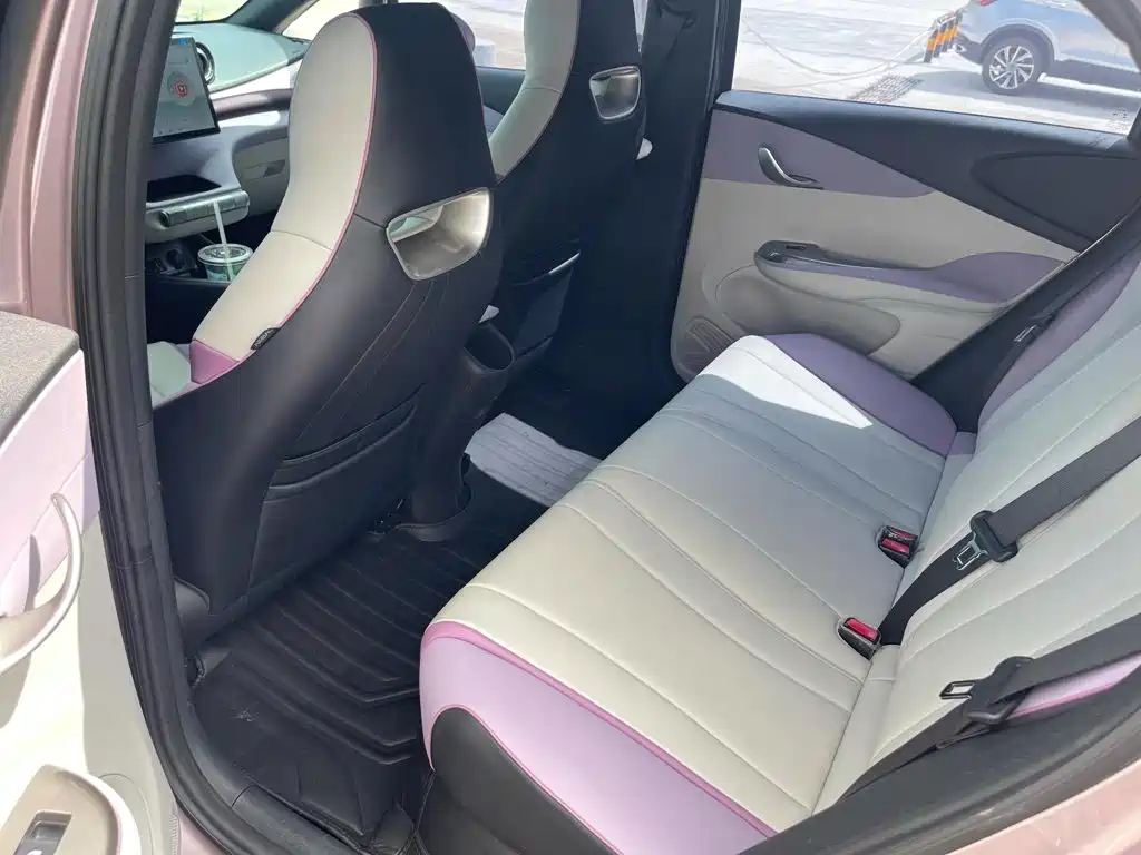 BYD Dolphin 2022