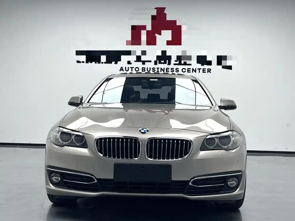 BMW 5 Series 2015