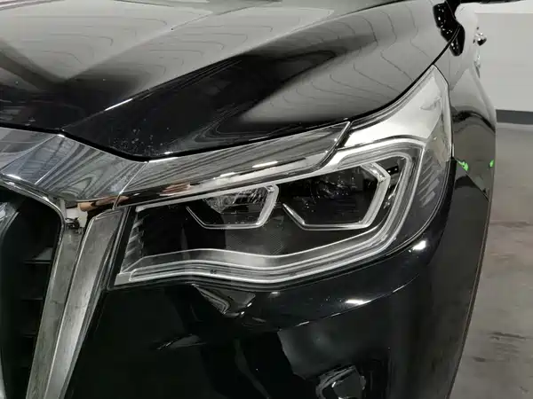 Hongqi HS7 2021