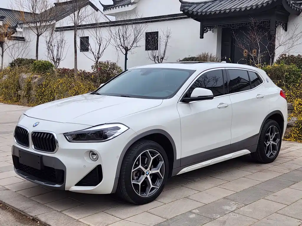BMW X2 2019 — фото 1
