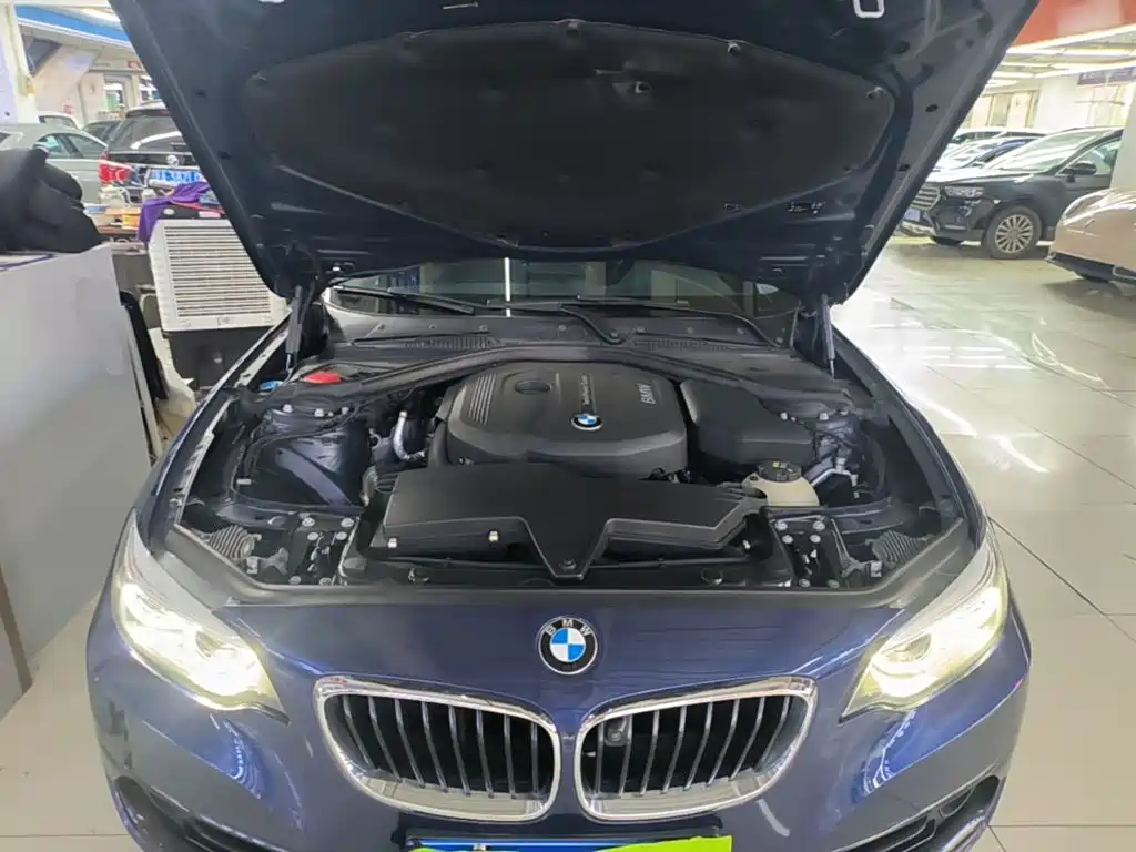 BMW 2 Series 2018 — фото 20