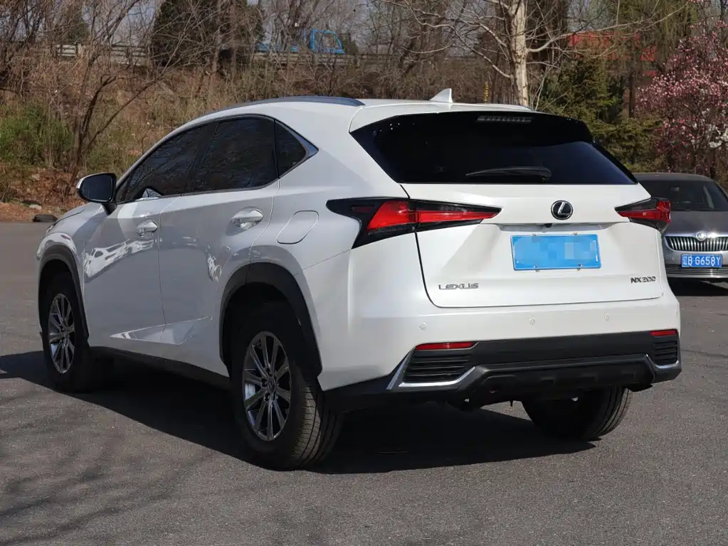 Lexus NX 2019 — фото 7