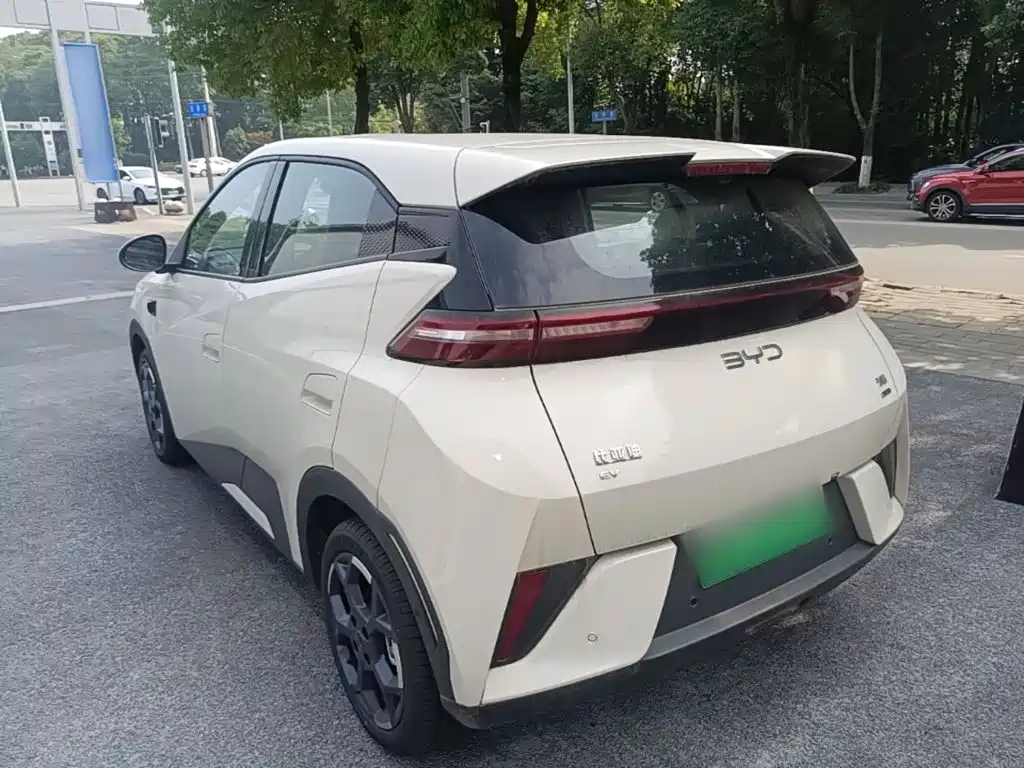 BYD Seagull 2025